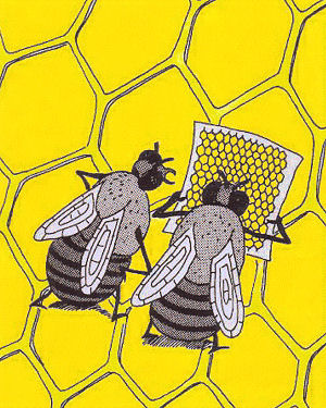 Bienen bei der Arbeit